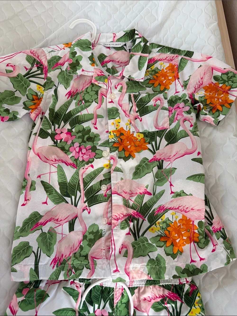 Janie and Jack Kids Flamingo Print Matching Set - Pink & Green Size 4
